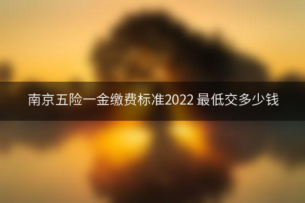 南京五险一金缴费标准2022 最低交多少钱