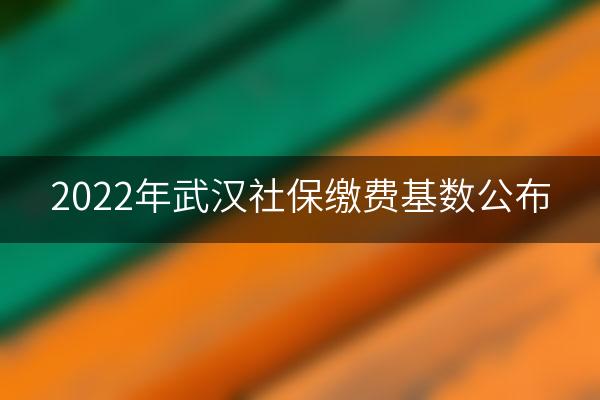 2022年武汉社保缴费基数公布