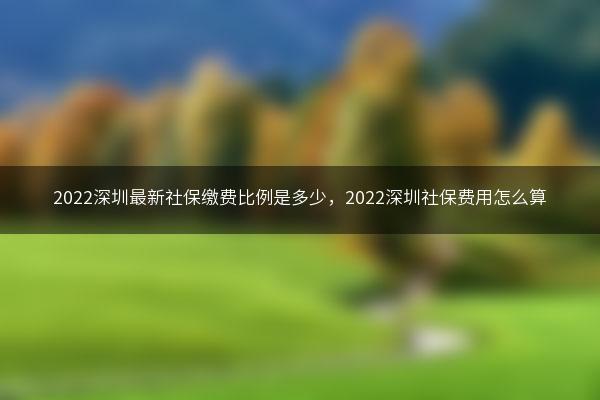 2022深圳最新社保缴费比例是多少，2022深圳社保费用怎么算