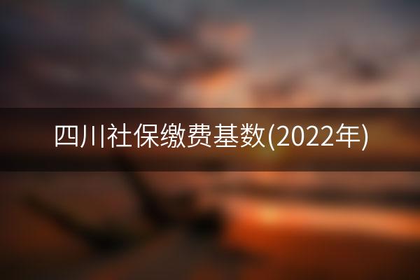 四川社保缴费基数(2022年)
