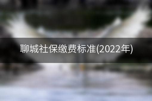 聊城社保缴费标准(2022年)