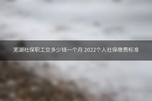 芜湖社保职工交多少钱一个月 2022个人社保缴费标准