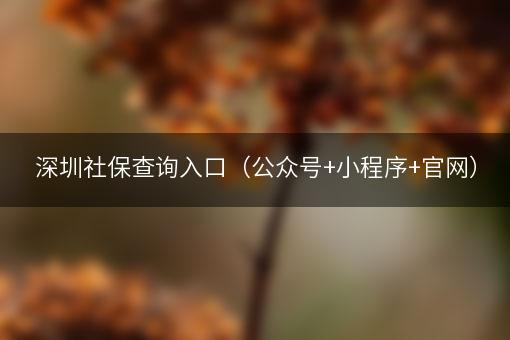 深圳社保查询入口（公众号+小程序+官网）