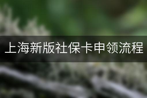 上海新版社保卡申领流程
