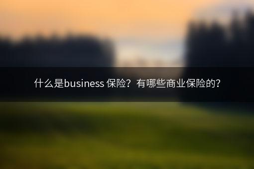 什么是business 保险？有哪些商业保险的？