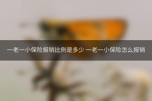 一老一小保险报销比例是多少 一老一小保险怎么报销