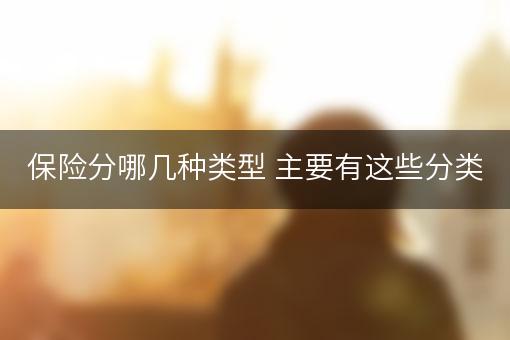 保险分哪几种类型 主要有这些分类