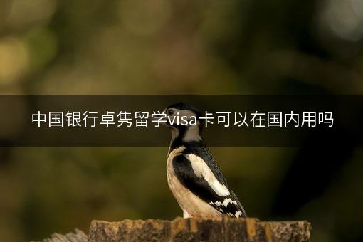 中国银行卓隽留学visa卡可以在国内用吗