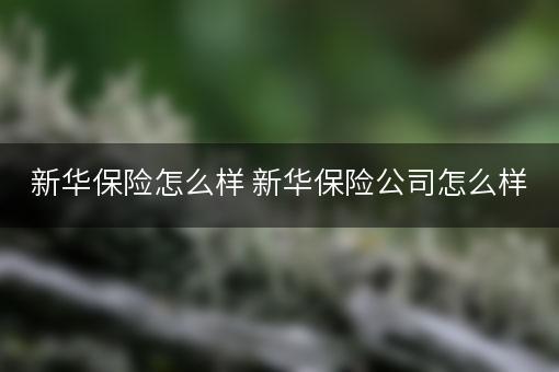 新华保险怎么样 新华保险公司怎么样