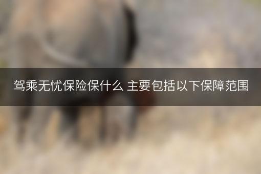 驾乘无忧保险保什么 主要包括以下保障范围