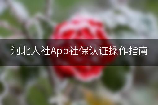 河北人社App社保认证操作指南
