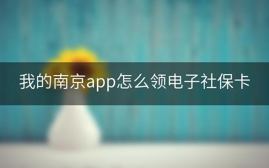 我的南京app怎么领电子社保卡