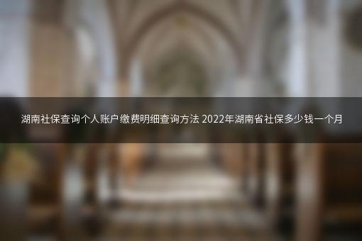 湖南社保查询个人账户缴费明细查询方法 2022年湖南省社保多少钱一个月