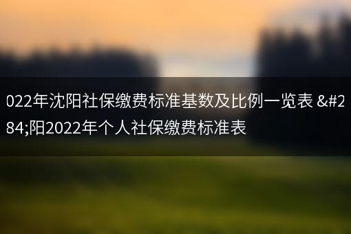 2022年沈阳社保缴费标准基数及比例一览表 沈阳2022年个人社保缴费标准表