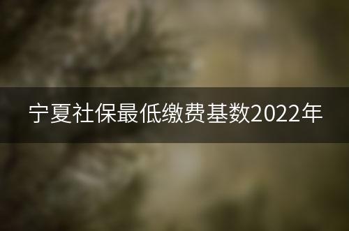 宁夏社保最低缴费基数2022年