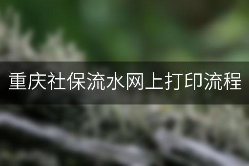 重庆社保流水网上打印流程