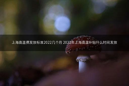 上海高温费发放标准2022几个月 2022年上海高温补贴什么时间发放