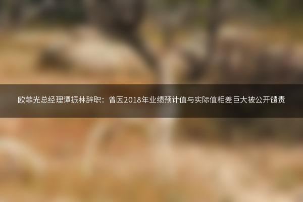 欧菲光总经理谭振林辞职：曾因2018年业绩预计值与实际值相差巨大被公开谴责