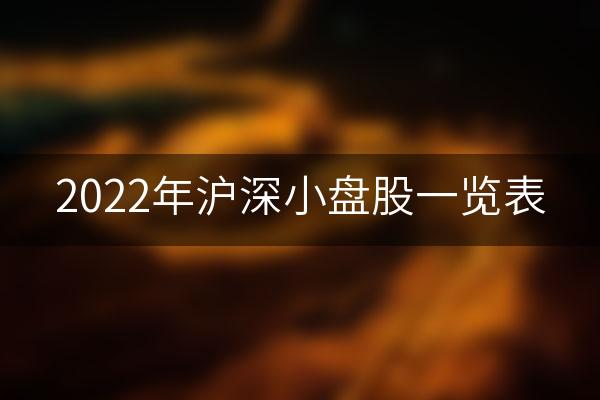 2022年沪深小盘股一览表