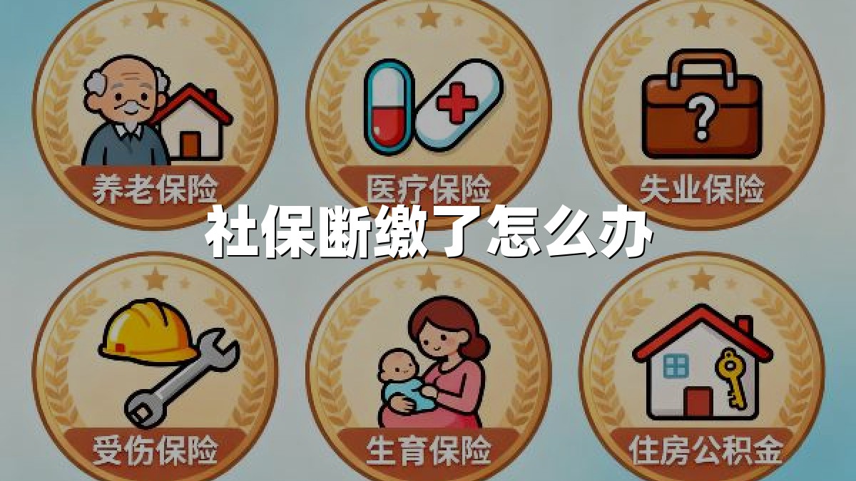 社保断缴了怎么办