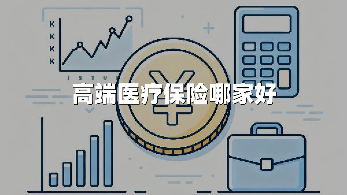 高端医疗保险哪家好