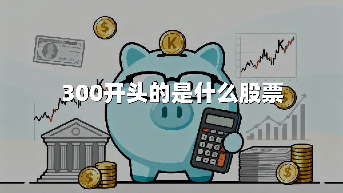 300开头的是什么股票