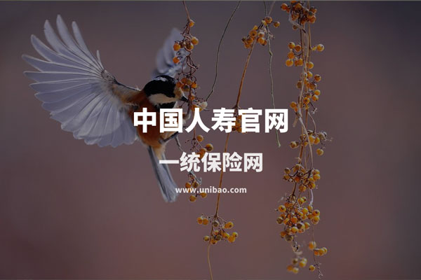 中国人寿保险公司官方网站